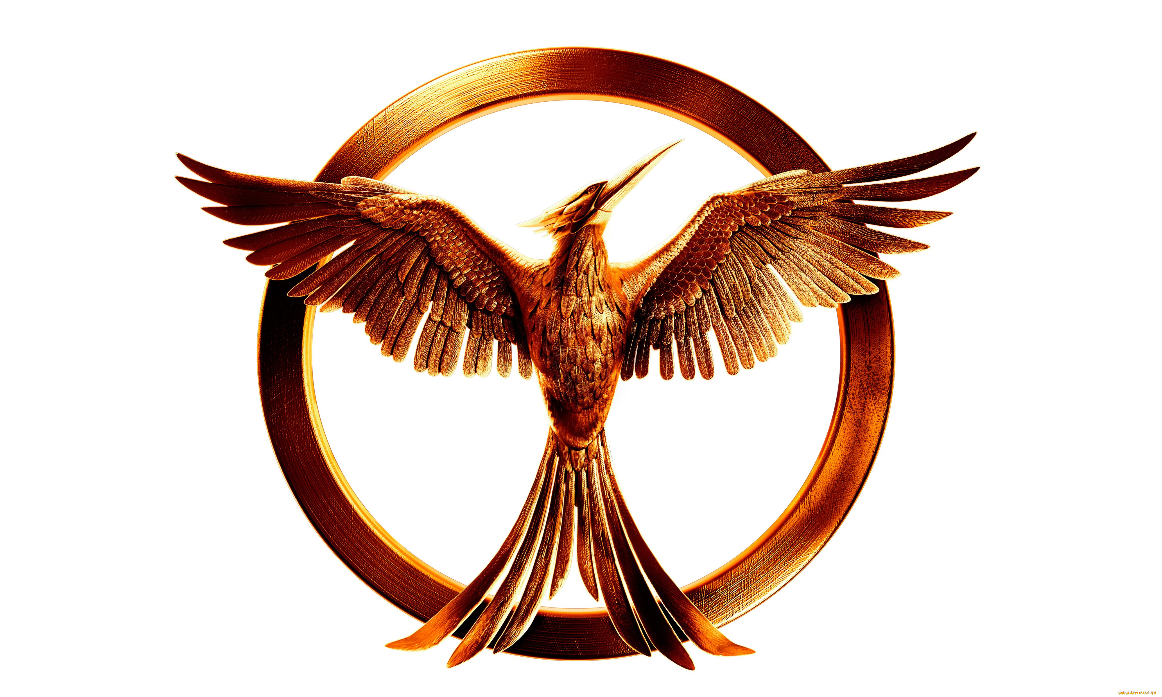 the hunger games  , 2012,  , the hunger games, , , , , , 